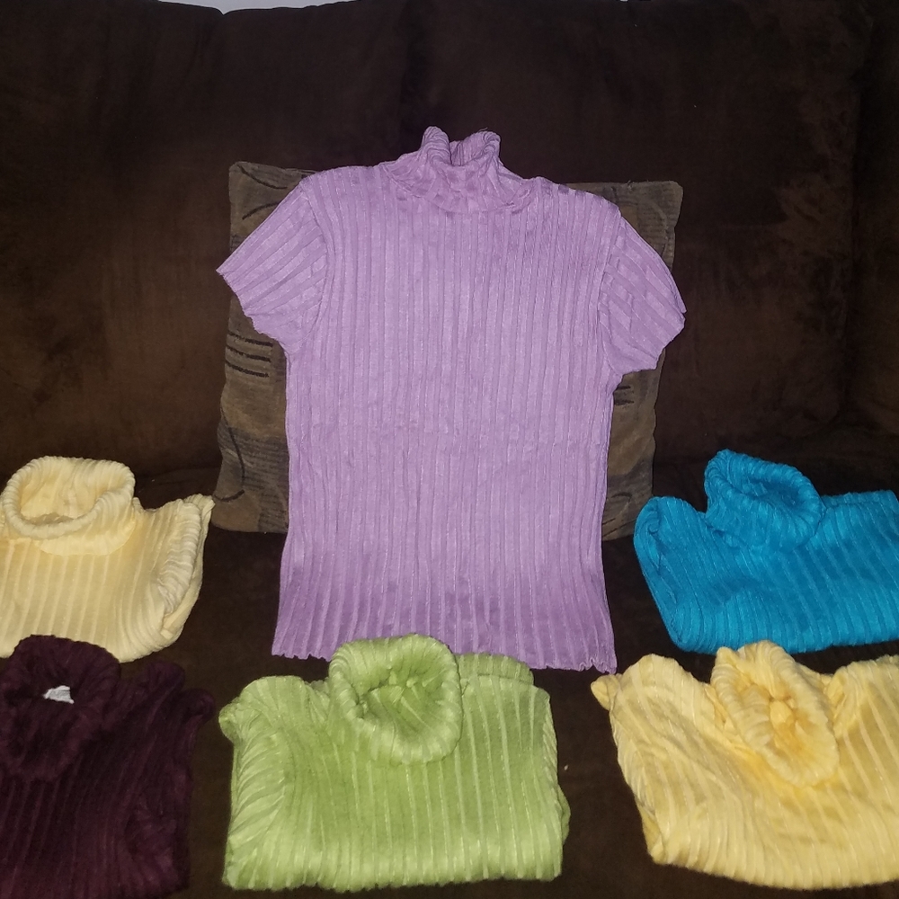 Ribbed Knit short Sleeved Turtleneck top